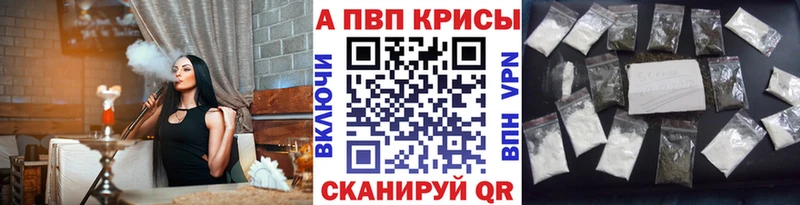 A PVP СК КРИС Махачкала