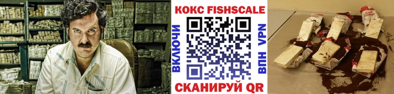 Кокаин FishScale  Махачкала 