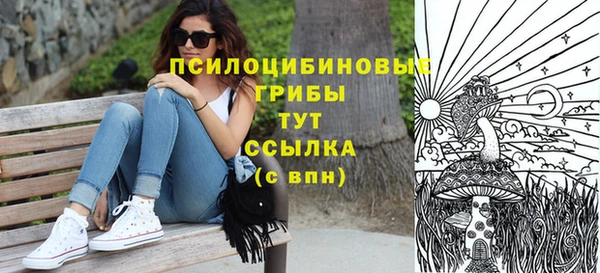 ECSTASY Лагань