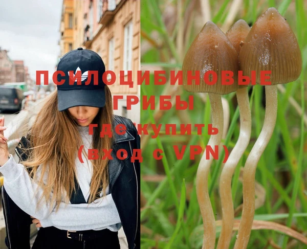 apvp Лабытнанги