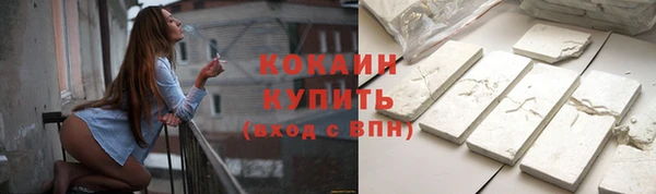 ECSTASY Лагань