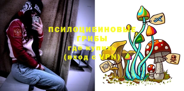 МДПВ Ладушкин