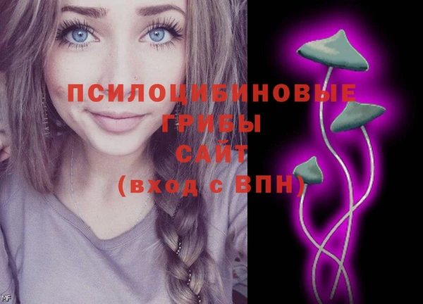 apvp Лабытнанги