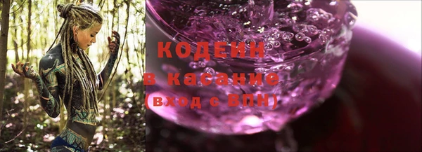 ECSTASY Лагань