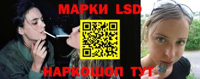 стафф Кинель