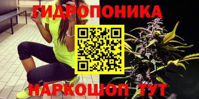 стафф Кинель
