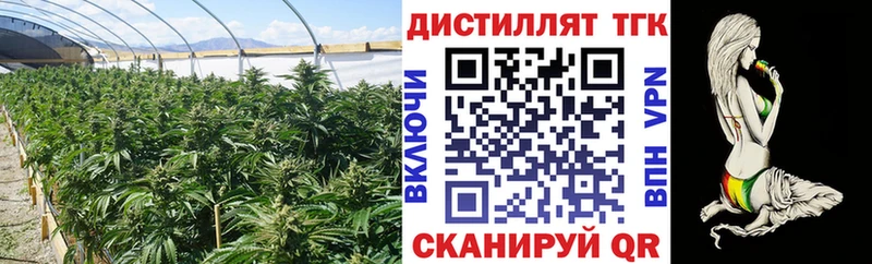 darknet Telegram  Махачкала  ТГК вейп с тгк  мега онион 