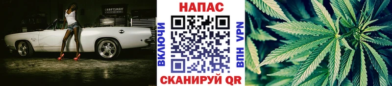 купить наркотик  Махачкала  Каннабис гибрид 